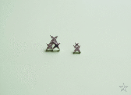 Earrings EXT404